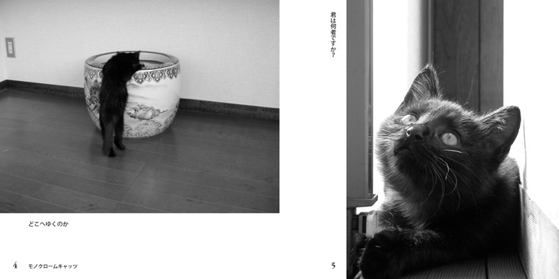 フォトブック 4ページ目