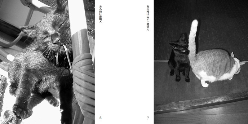 フォトブック 6ページ目