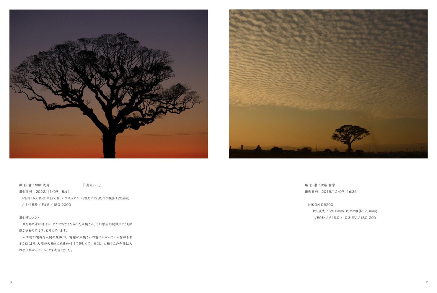 フォトブック 8ページ目