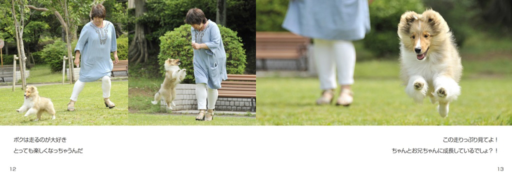 フォトブック 12ページ目