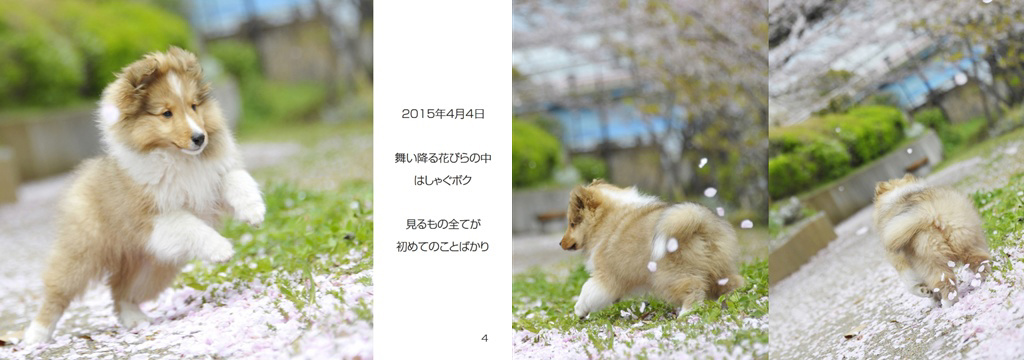 フォトブック 4ページ目