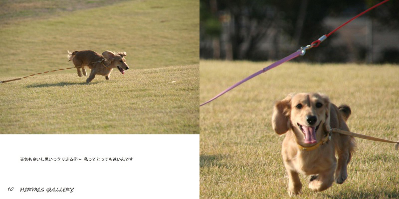 フォトブック 10ページ目