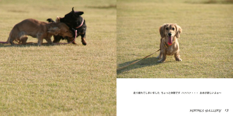 フォトブック 12ページ目