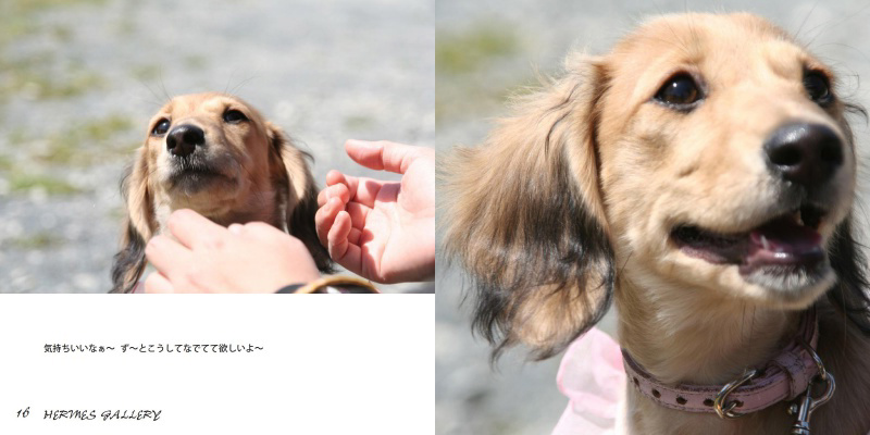 フォトブック 16ページ目