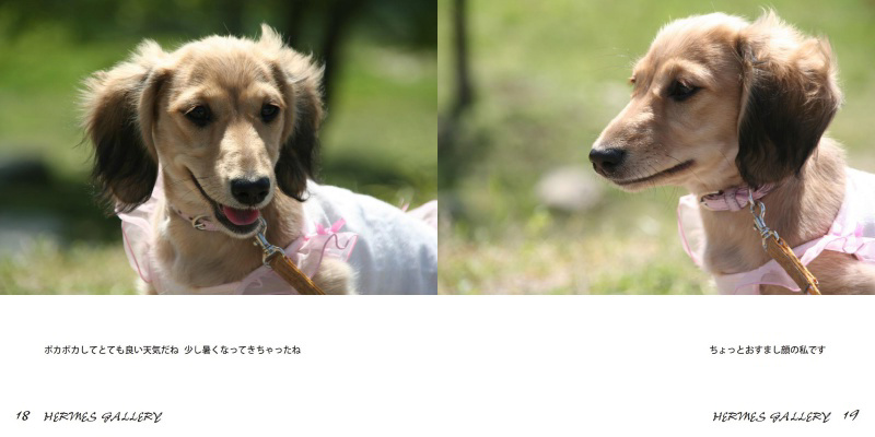 フォトブック 18ページ目