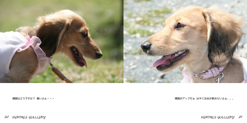 フォトブック 20ページ目