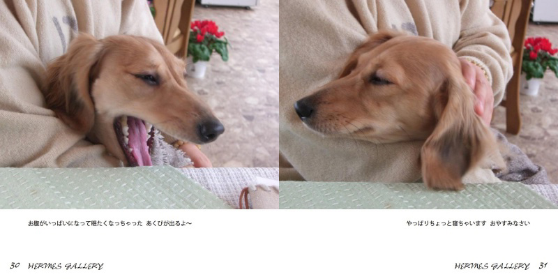 フォトブック 30ページ目