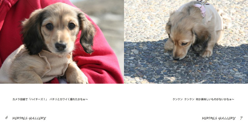 フォトブック 6ページ目