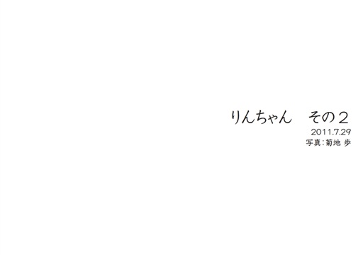 フォトブック 扉