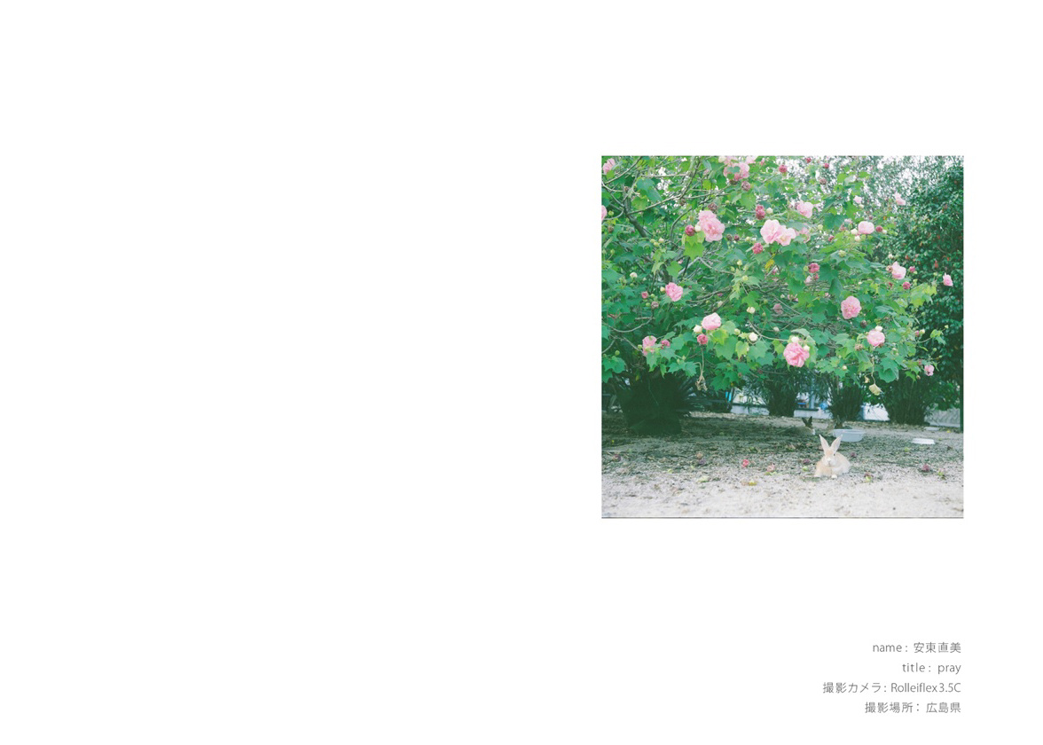 フォトブック 2ページ目