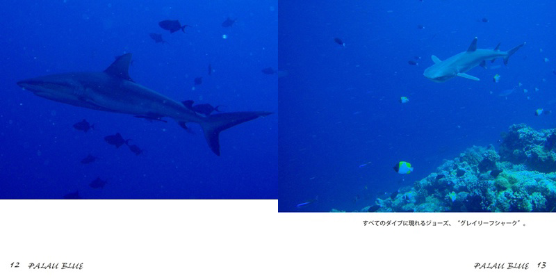 フォトブック 12ページ目