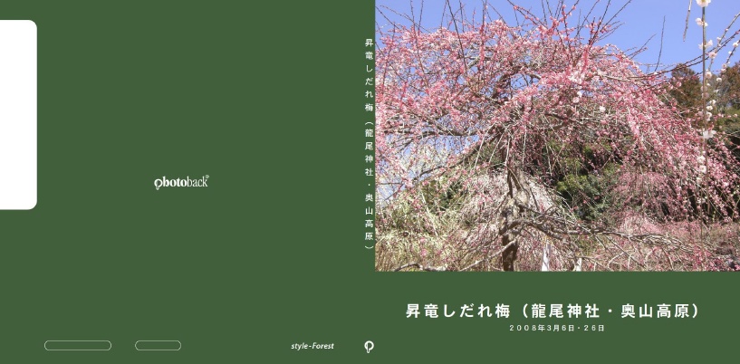 フォトブック ジャケット
