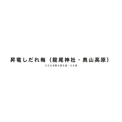 フォトブック 扉