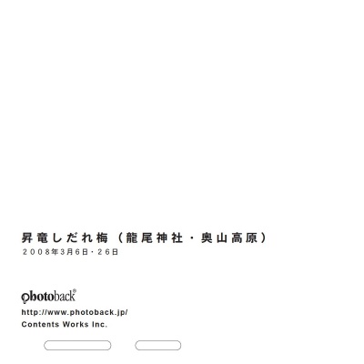 フォトブック ジャケット裏