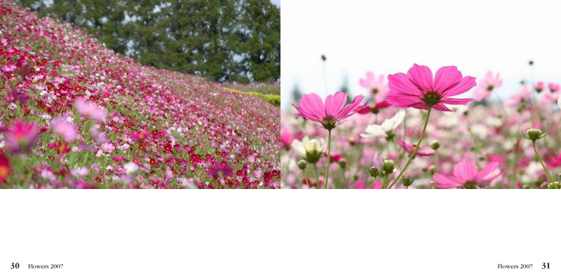 フォトブック 30ページ目