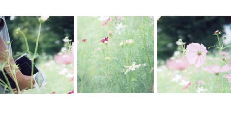 フォトブック 24ページ目