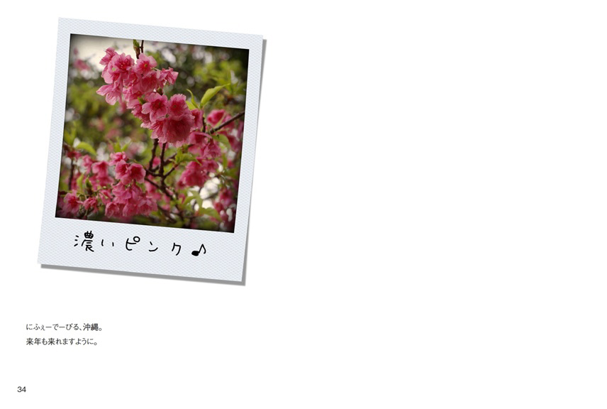 フォトブック 34ページ目