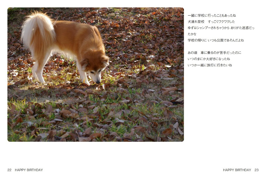 フォトブック 22ページ目