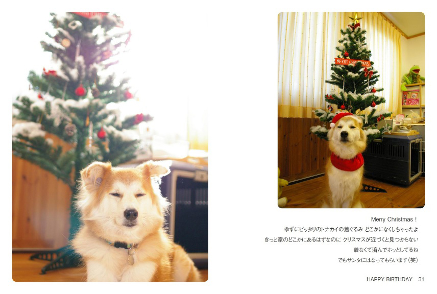 フォトブック 30ページ目