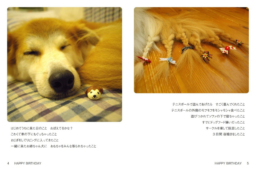 フォトブック 4ページ目
