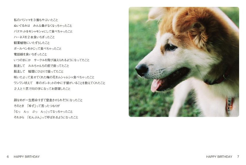 フォトブック 6ページ目