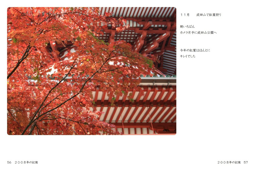 フォトブック 56ページ目