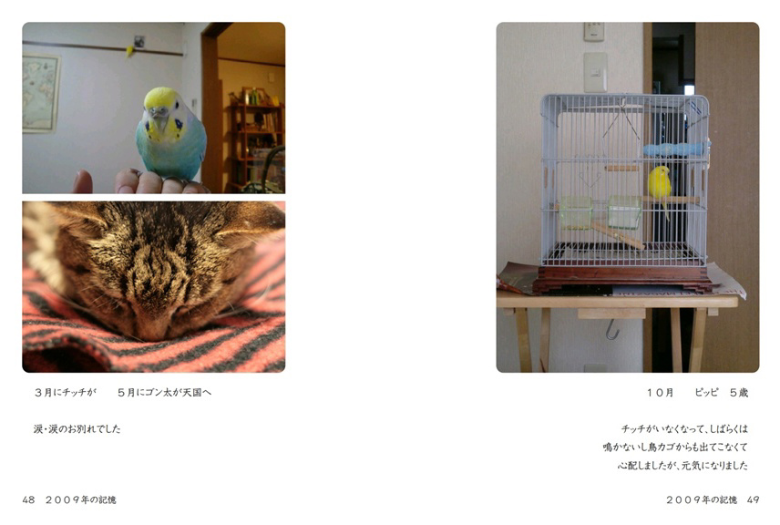 フォトブック 48ページ目