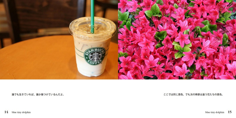 フォトブック 14ページ目
