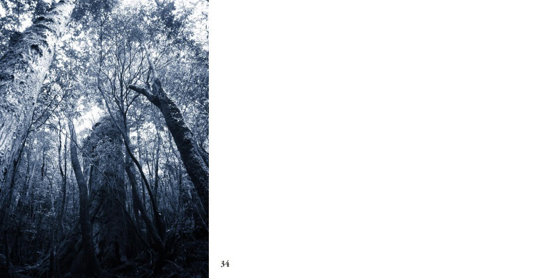 フォトブック 34ページ目