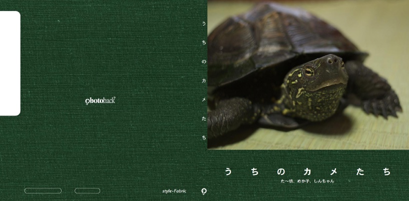 フォトブック ジャケット