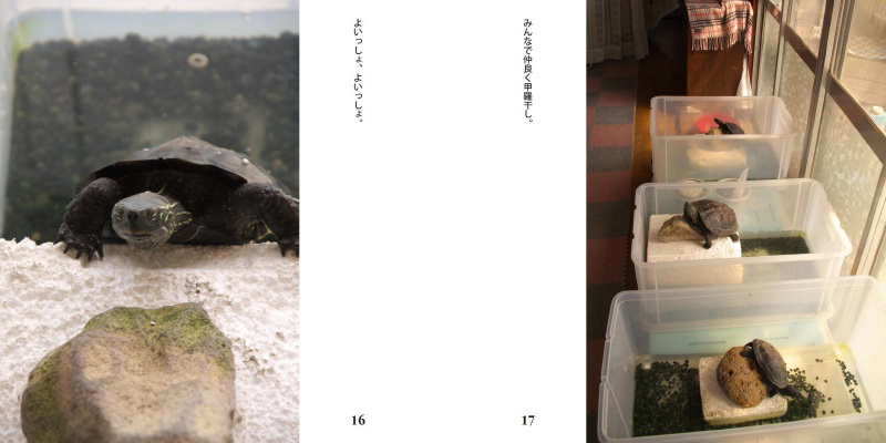 フォトブック 16ページ目