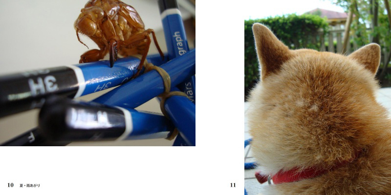 フォトブック 10ページ目