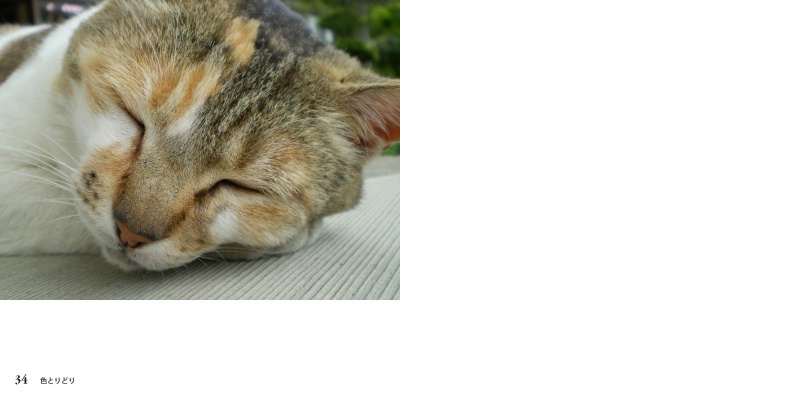 フォトブック 34ページ目