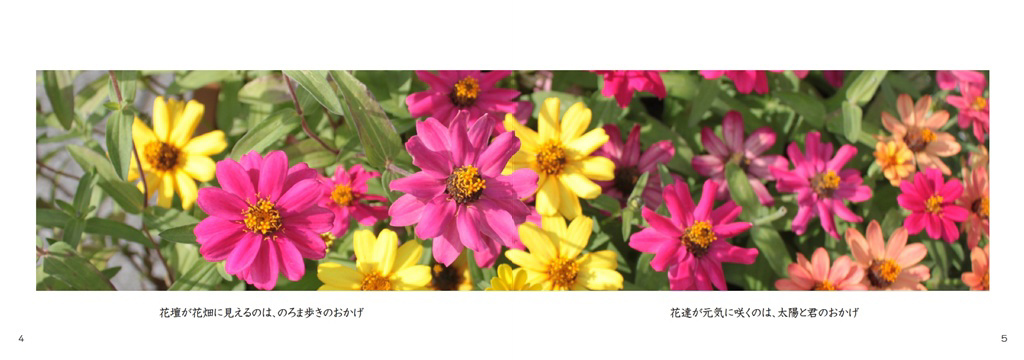 フォトブック 4ページ目