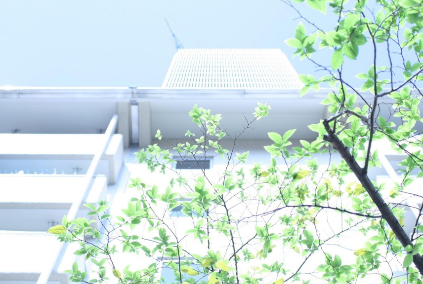 フォトブック 10ページ目