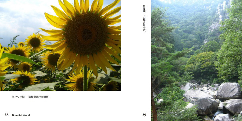 フォトブック 28ページ目