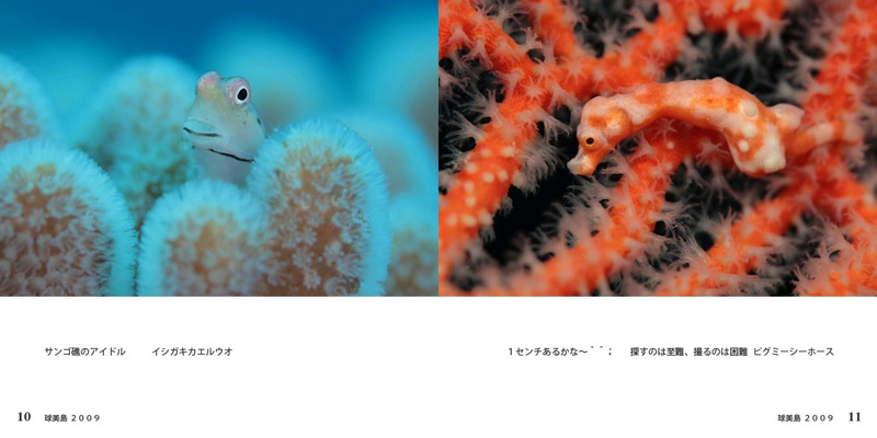 フォトブック 10ページ目