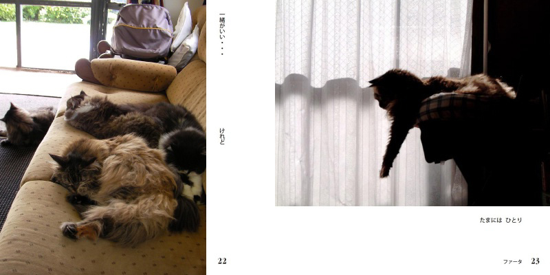 フォトブック 22ページ目