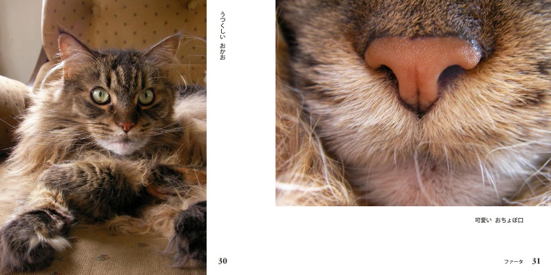 フォトブック 30ページ目