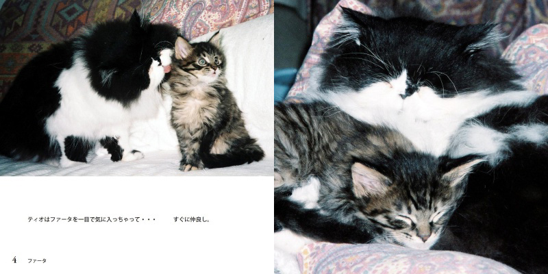 フォトブック 4ページ目