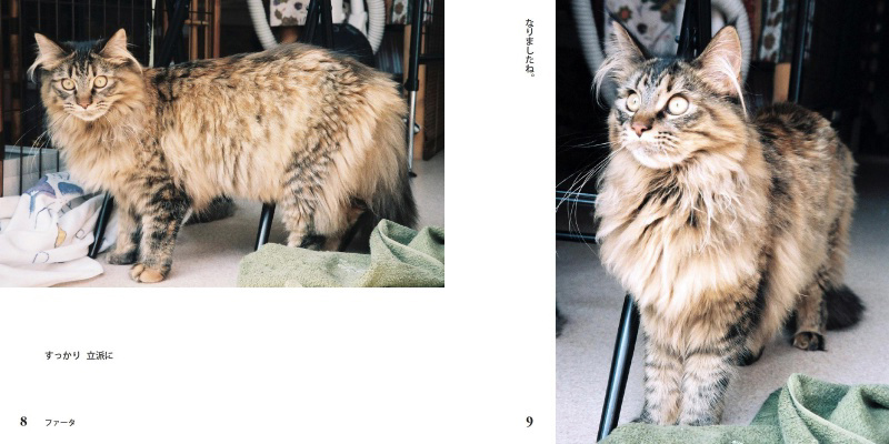 フォトブック 8ページ目