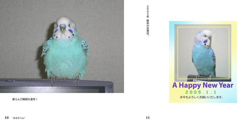 フォトブック 10ページ目
