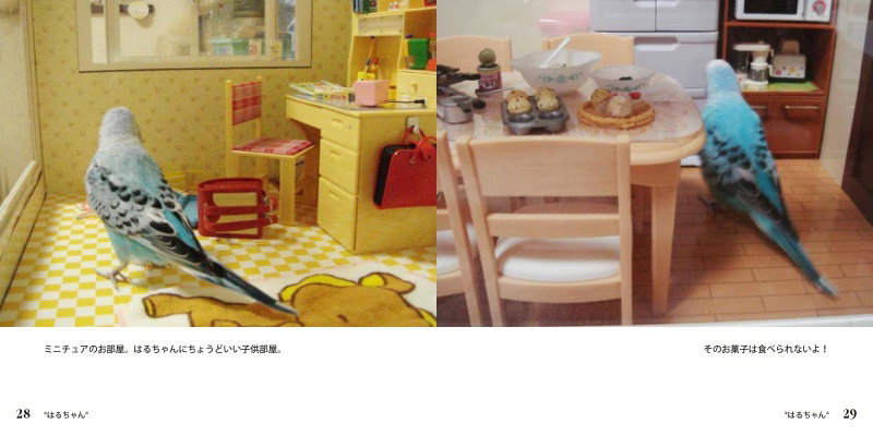 フォトブック 28ページ目