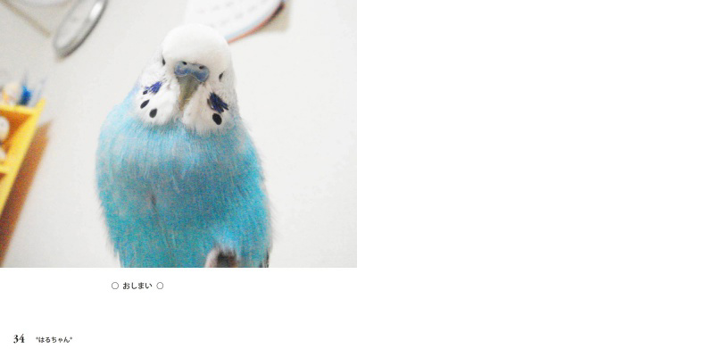 フォトブック 34ページ目