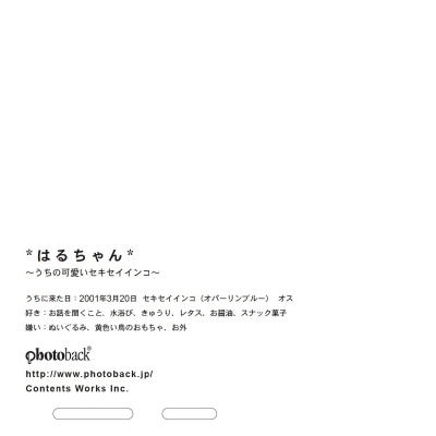 フォトブック ジャケット裏