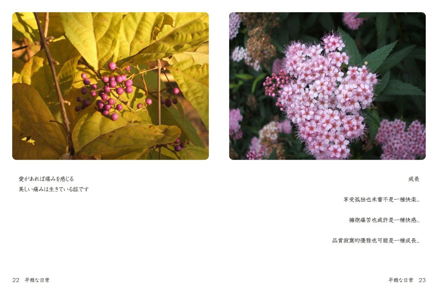 フォトブック 22ページ目