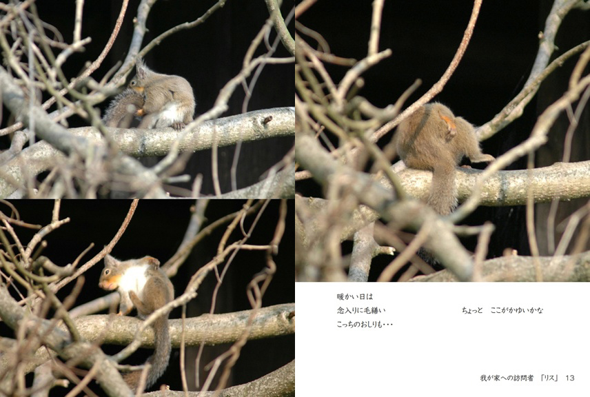 フォトブック 12ページ目