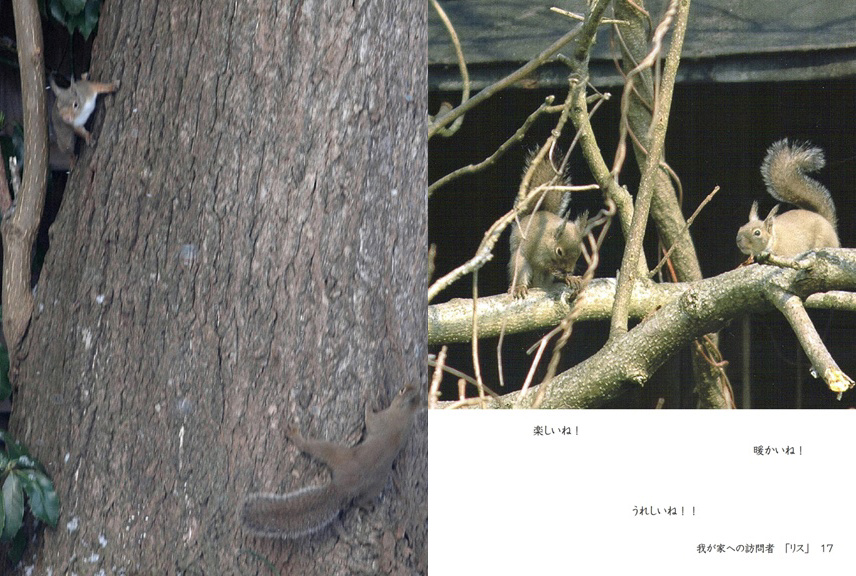 フォトブック 16ページ目