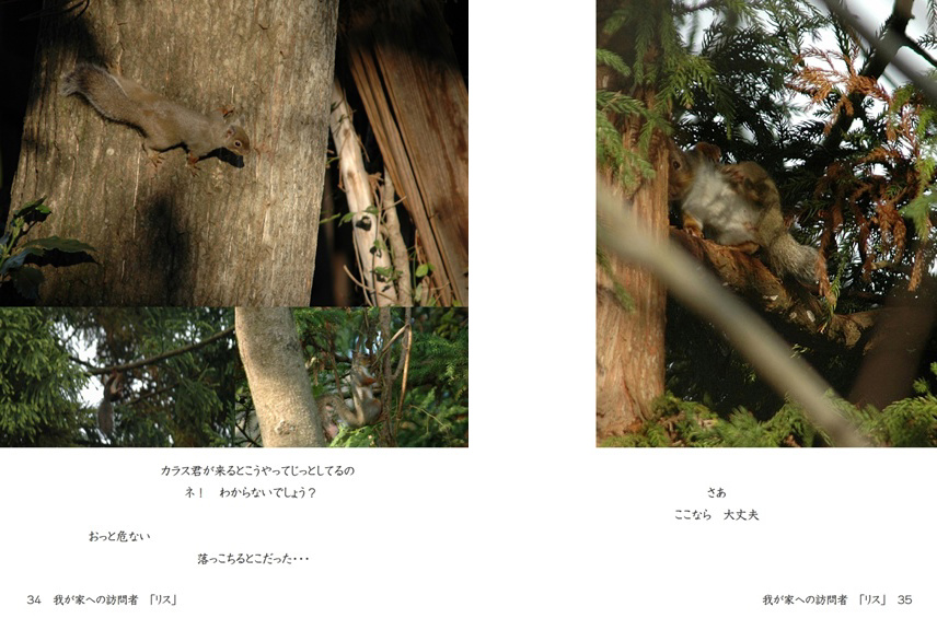 フォトブック 34ページ目