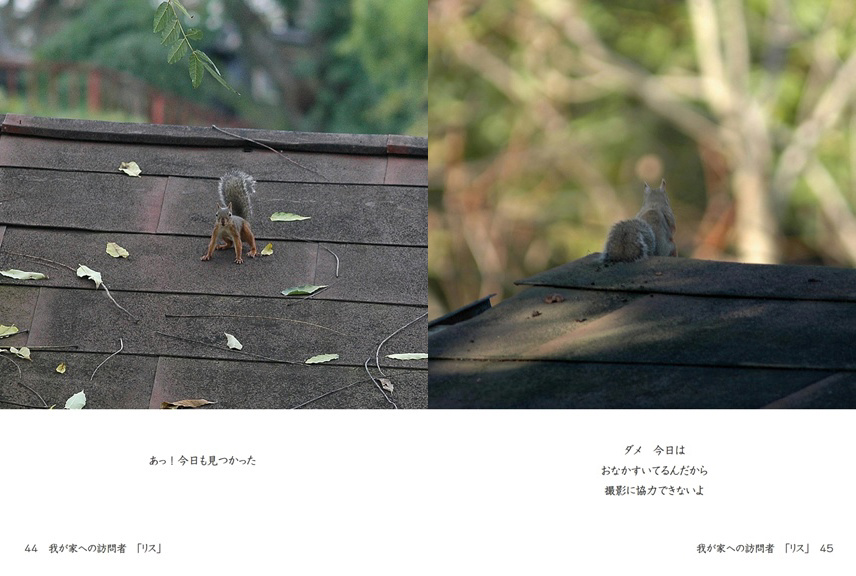 フォトブック 44ページ目